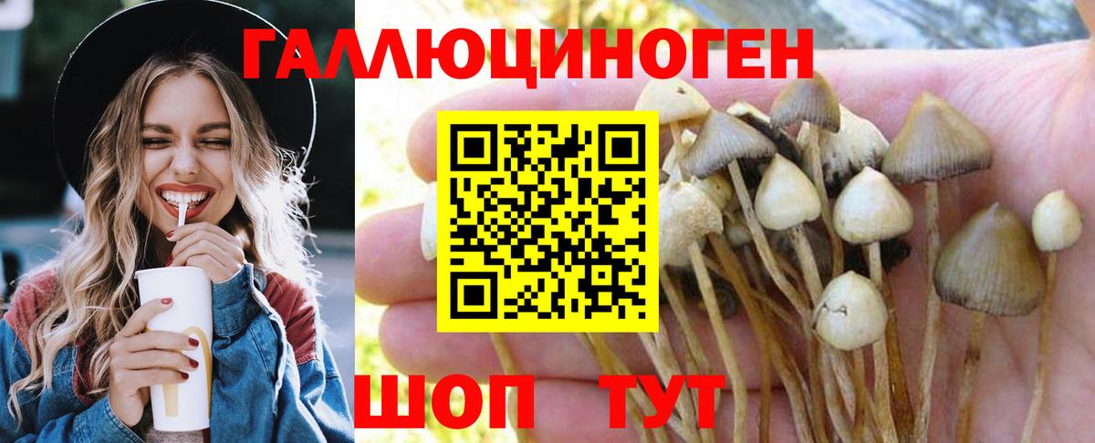 Галлюциногенные грибы Psilocybine cubensis  Вход с VPN  Ступино  Псилоцибиновые грибы Magic Shrooms 